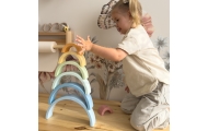 Pastelinė dėlionė Montessori medinės kaladėlės TOOKY TOY