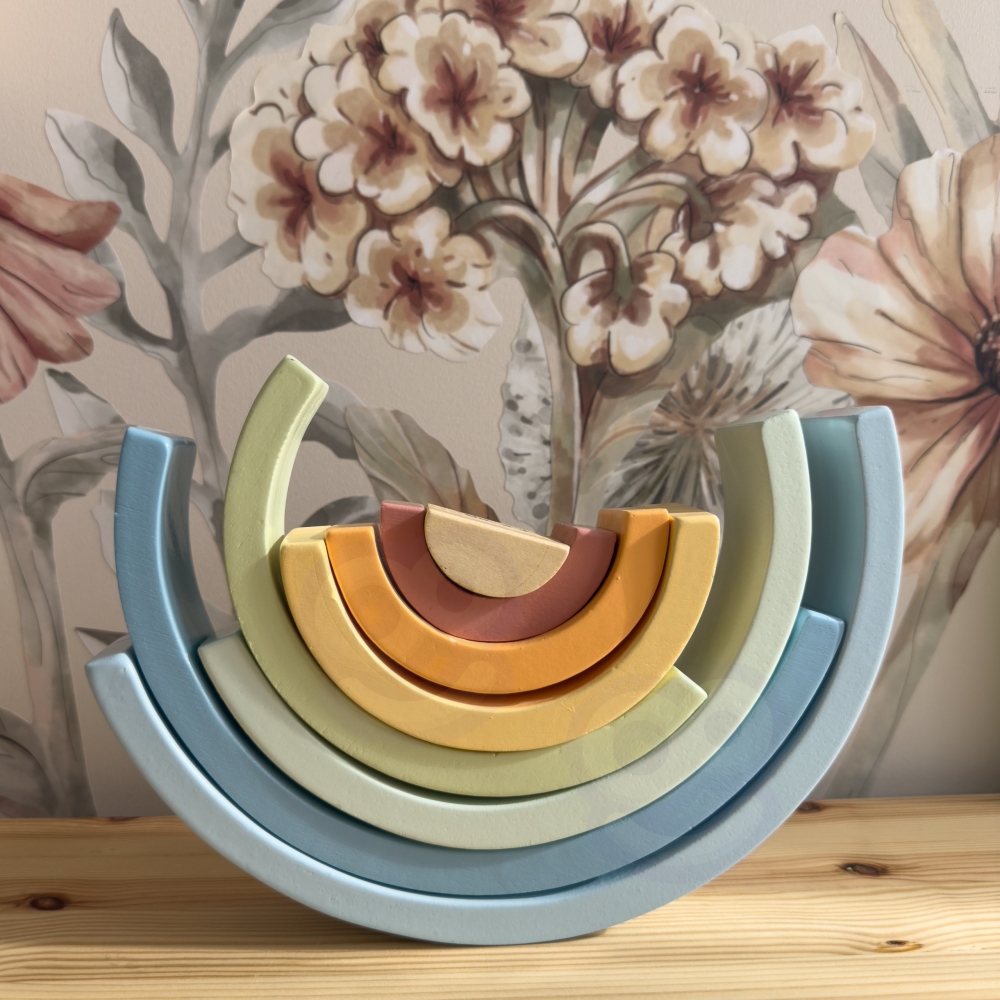 Pastelinė dėlionė Montessori medinės kaladėlės TOOKY TOY