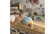 Pastelinė dėlionė Montessori medinės kaladėlės TOOKY TOY