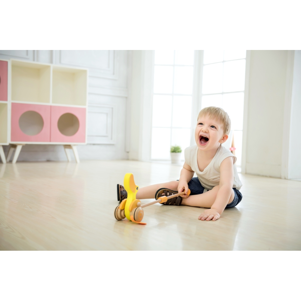 Medinis stumdomas žaislas CLASSIC WORLD Antis