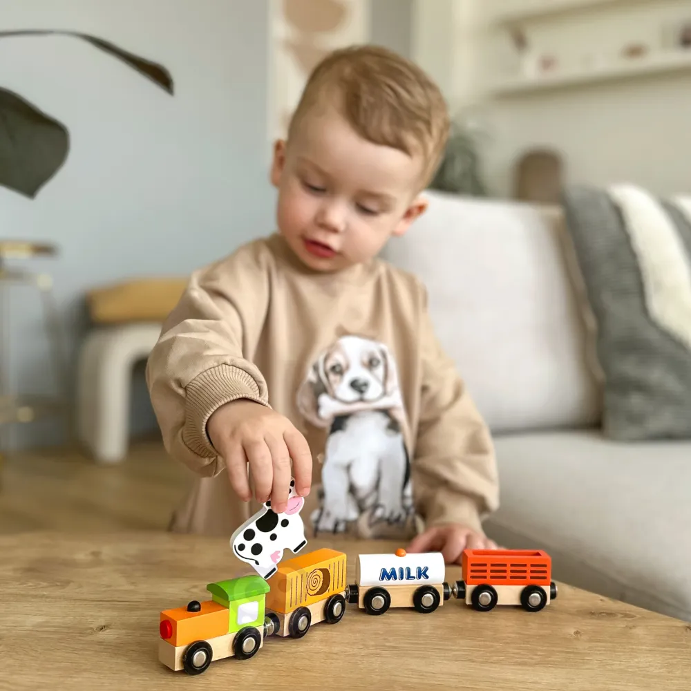 Žemės ūkio traukinys VIGA-Žaislai, Auto ir transporto žaislai, Traukiniai-e-vaikas