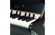 Fortepijonas CLASSIC WORLD juodas-Žaislai, Muzikiniai-e-vaikas