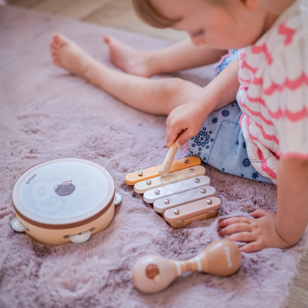 Muzikos instrumentų rinkinys su ežiuku VIGA PolarB-Žaislai, Kūdikiams, Žaislai mažyliams (iki 4 m.