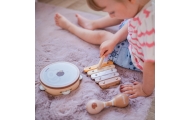 Muzikos instrumentų rinkinys su ežiuku VIGA PolarB