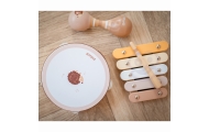Muzikos instrumentų rinkinys su ežiuku VIGA PolarB