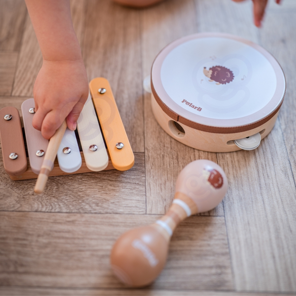 Muzikos instrumentų rinkinys su ežiuku VIGA PolarB-Žaislai, Kūdikiams, Žaislai mažyliams (iki 4 m.
