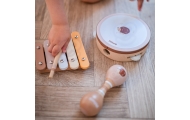 Muzikos instrumentų rinkinys su ežiuku VIGA PolarB