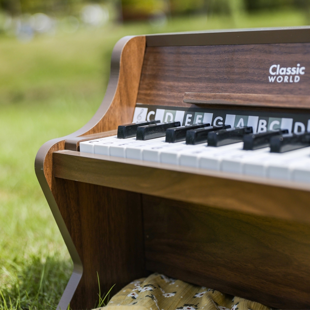 Medinis klasikinis fortepijonas CLASSIC WORLD + mokomoji knygelė-Žaislai, Muzikiniai, Mediniai-e-vaikas