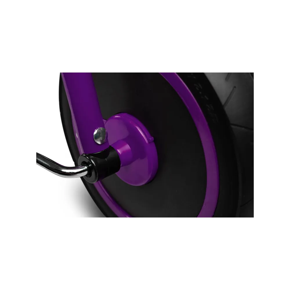 Triratis Toyz Buzz, Purple-Judėjimui, Triratukai vaikams-e-vaikas