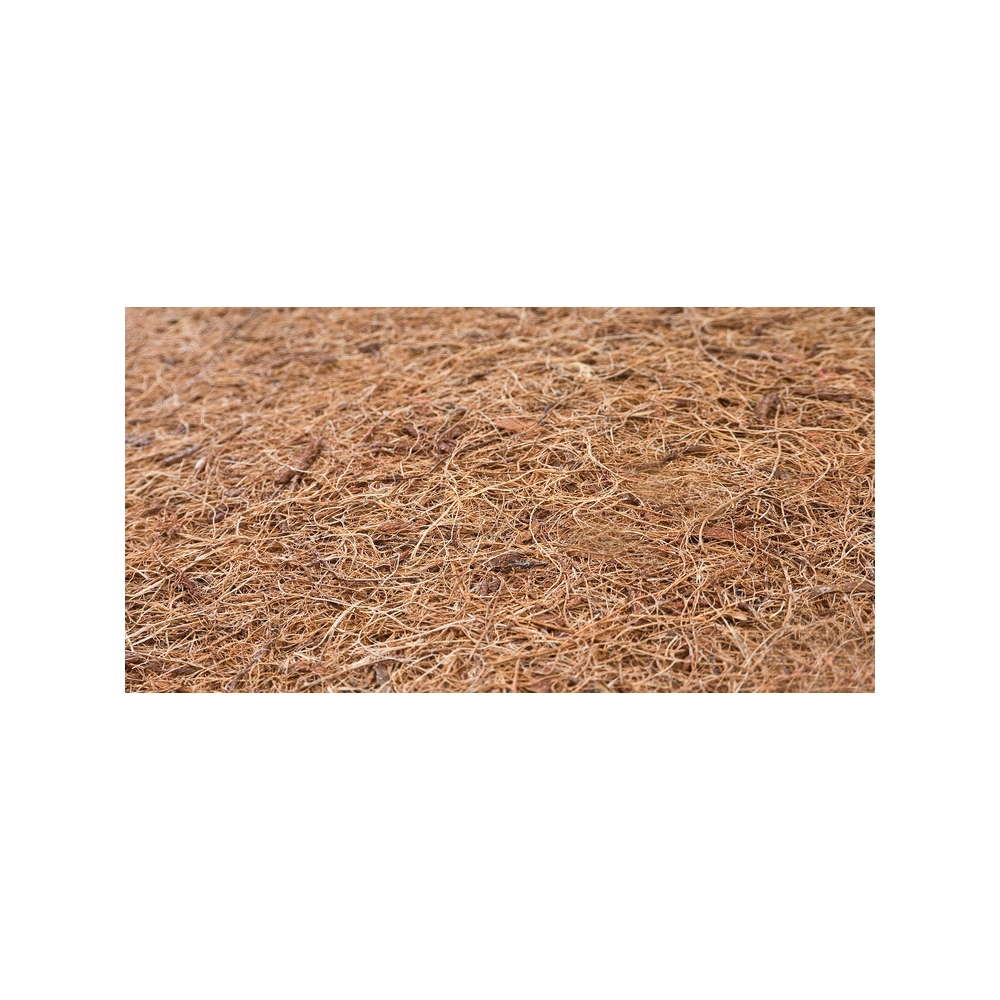 ČIUŽINYS MEMORY MATERATE TERMOELASTINIO KOKOSO ALOE VERA 120×60 (12cm)-Miegui, Čiužiniai-e-vaikas