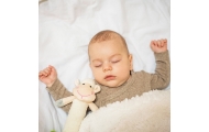 606 BabyOno Saldžioji laumžirgė