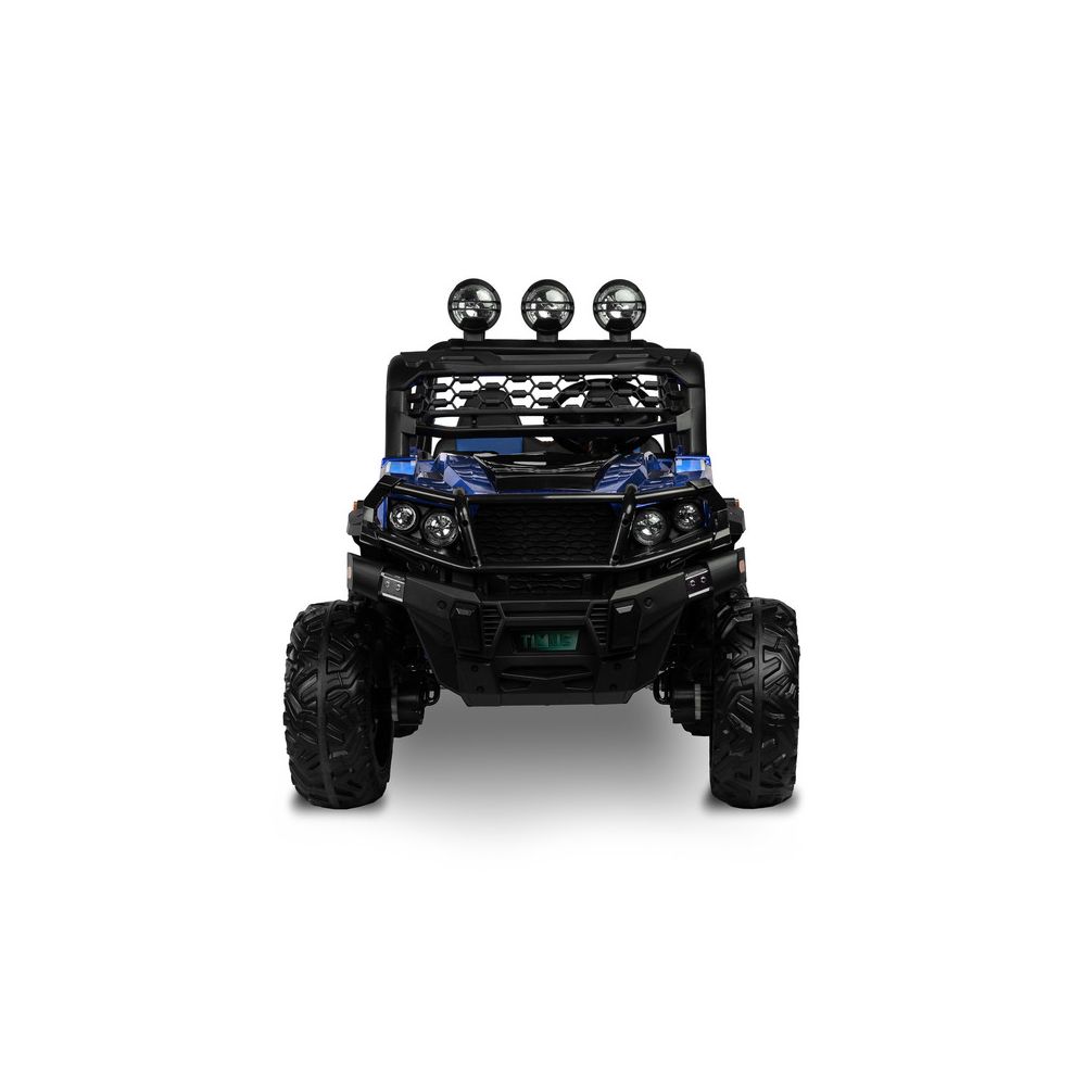 AKUMULIATORIUMI VAROMA VISUREIGĖ TRANSPORTO PRIEMONĖ TIMUS BLUE