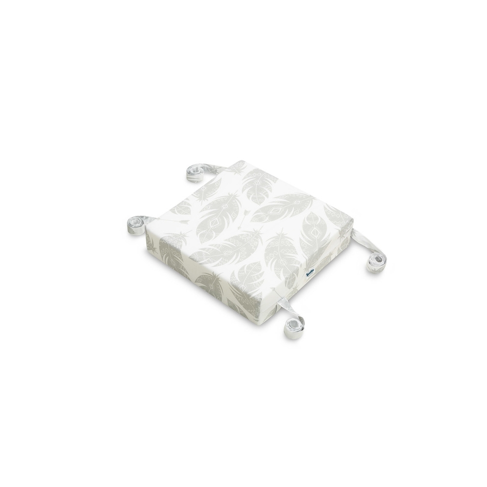 Paaukštinimas kėdei Sensillo, Plunksnos