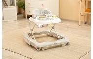 CHODZIK TIMON GREY