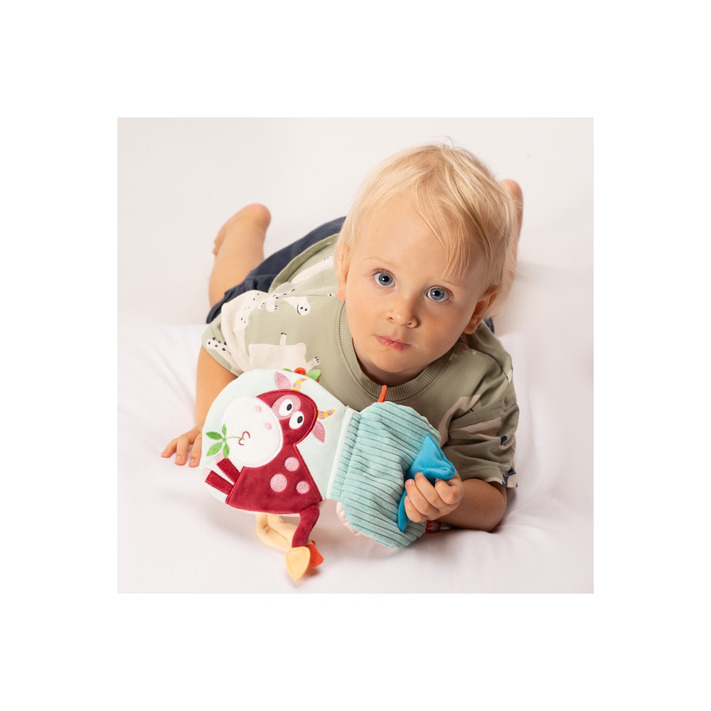 A0672 SENSORINĖ KNYGELĖ "DRAMBLYS