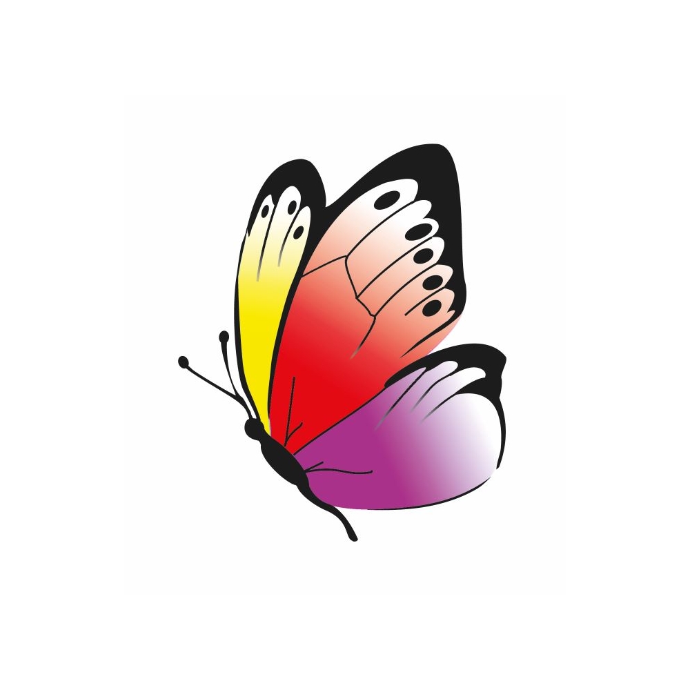 Beleduc lavinamoji priemonė - žaidimas "Betty Fly" (22463)