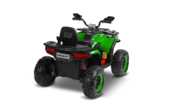 Elektrinis keturratis Toyz GIGANT, Green-Elektromobiliai vaikams, Keturračiai ir bagiai-e-vaikas