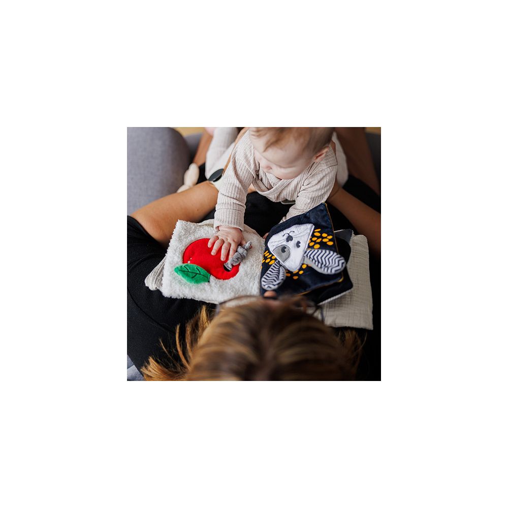 1679 KSIĄŻECZKA KONTRASTOWA MOUSE