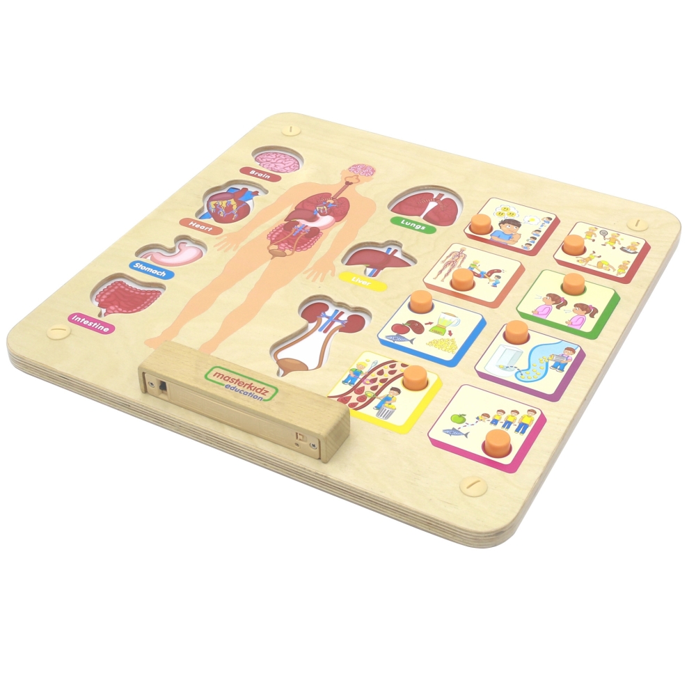 MASTERKIDZ Montessori Human Body System Educational Board					