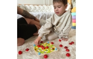 WOOPIE GREEN Memory Wooden Educational Memory Game Ladybug Puzzle					