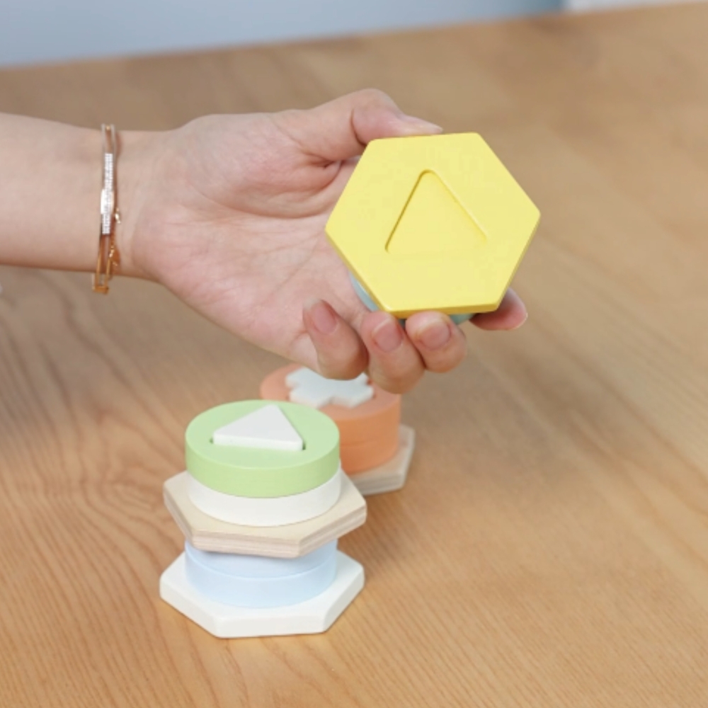 CLASSIC WORLD Montessori Shape and Color Sorter Puzzle Tower 