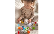 WOOPIE Montessori Educational Shape Sorter					