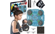 WOOPIE Intelligent Musical Boxing Shield BLUE 11 pcs.					