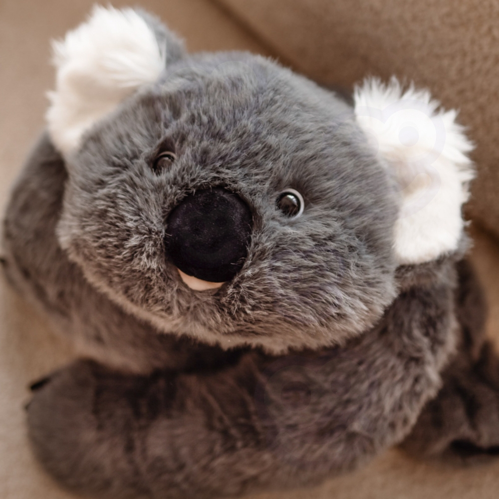 Antistresinis sensorinis pliušinis žaislas WOOPIE Koala, 65 cm, 1500 g-Žaislai, Minkšti žaislai-e-vaikas