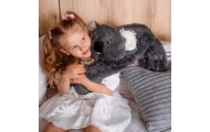 WOOPIE Koala Anti-Stress Sensory Weighted Plush Toy 65cm 1500g					