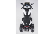 Akumuliatorius motociklui - 6V - 01300ST - BALTAS