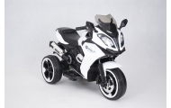 Akumuliatorius motociklui - 6V - 01300ST - BALTAS