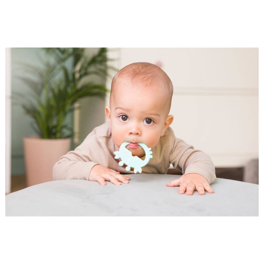 GG 58367 Teether - CRAB