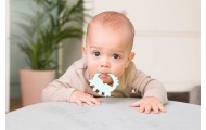 GG 58367 Teether - CRAB