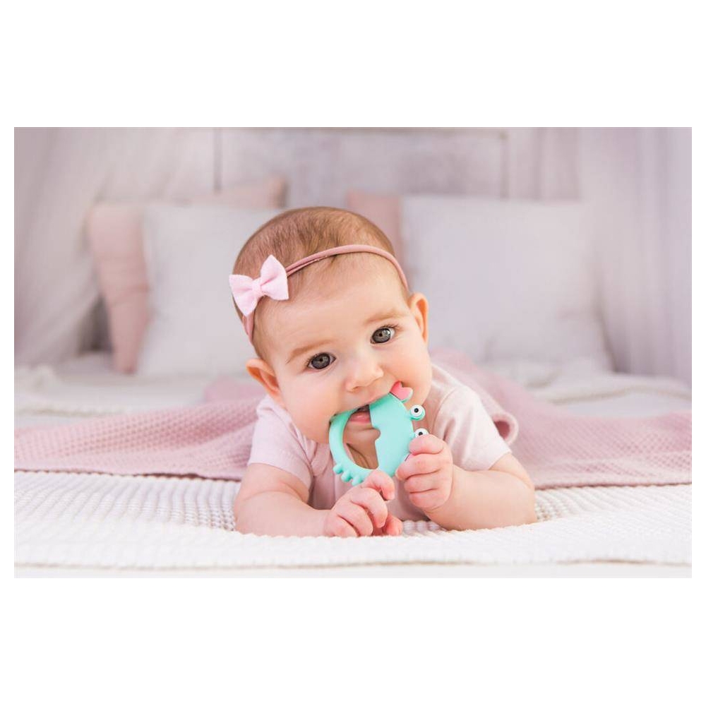 GG 58367 Teether - CRAB