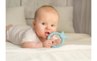 10433/ 04334 Sensory Teether - FLOWER - BLUE