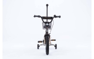 Bicycle - XXV - TOMABIKE 14"  - PLATINUM -  GOLD