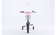 Bicycle  - XXV - TOMABIKE 12"  - PLATINUM - LIGHT PINK