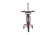 Bicycle - XXIV - TOMABIKE 14" PLUS - PLATINUM -  GOLD
