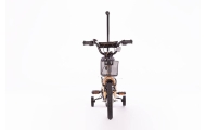 Bicycle - XXIV - TOMABIKE 14" PLUS - PLATINUM -  GOLD