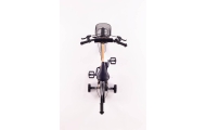 Bicycle - XXIV - TOMABIKE 14" PLUS - PLATINUM -  GOLD