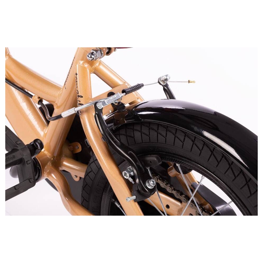 Bicycle - XXIV - TOMABIKE 14" PLUS - PLATINUM -  GOLD