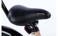 Bicycle - XXIV - TOMABIKE 14" PLUS - PLATINUM -  GOLD