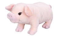 Plush toy  - 01513 - PIGGY - size 33 cm