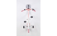 Bicycle - XXV - TOMABIKE 18"  - PLATINUM - LIGHT PINK