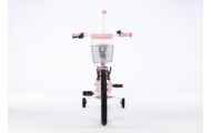 Bicycle - XXV - TOMABIKE 20"  - PLATINUM - LIGHT PINK
