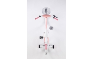 Bicycle - XXV - TOMABIKE 20"  - PLATINUM - LIGHT PINK