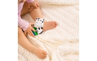 Ratte - A0679 - COW