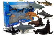 Figurki Edukacyjne Morskie Zwierzęta 8 Elementów Rekiny Foka Delfin Mors Żółw