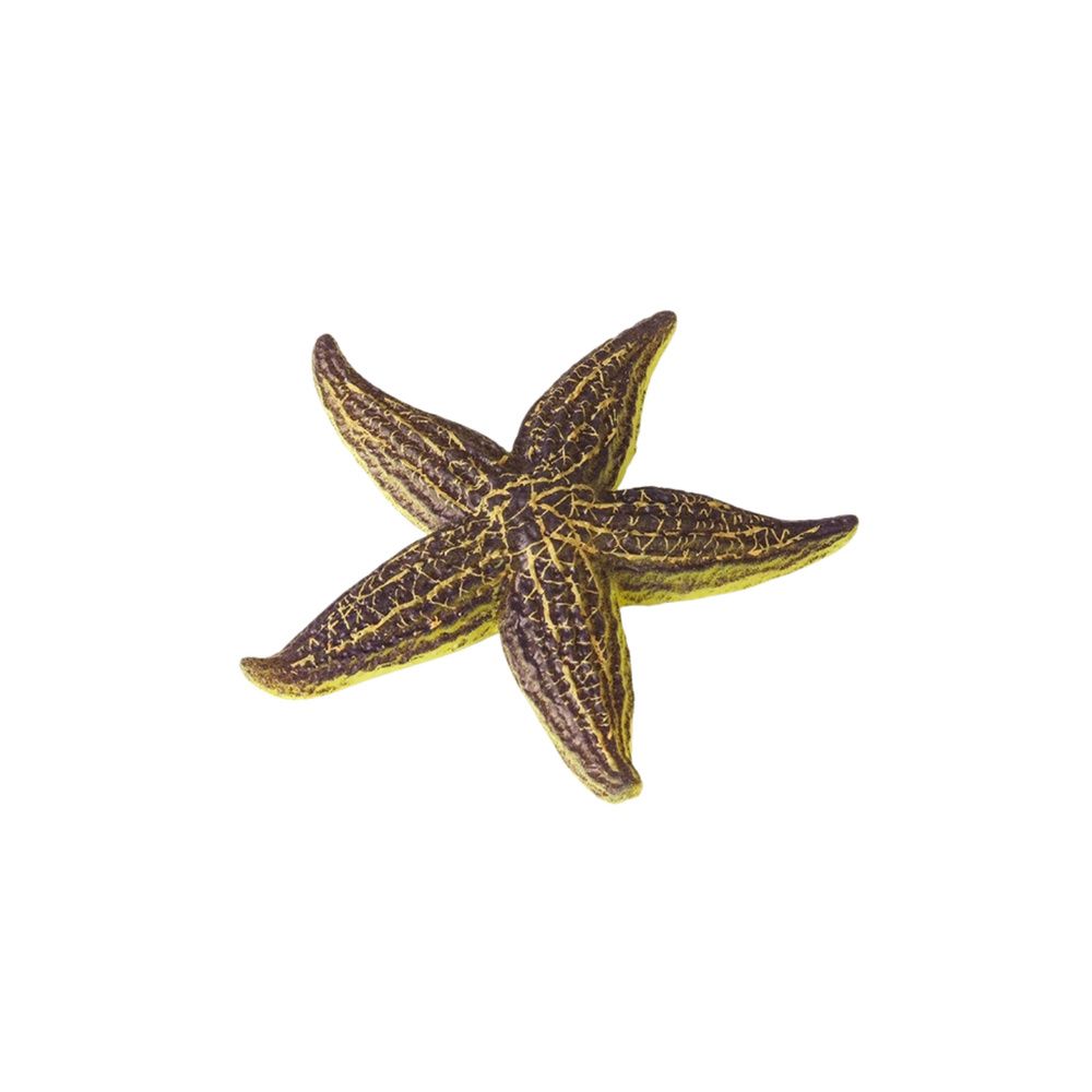 Rozgwiazda Gumowa Figurka Rozciągliwa Realistyczna Zwierzę Morskie 9,5 cm