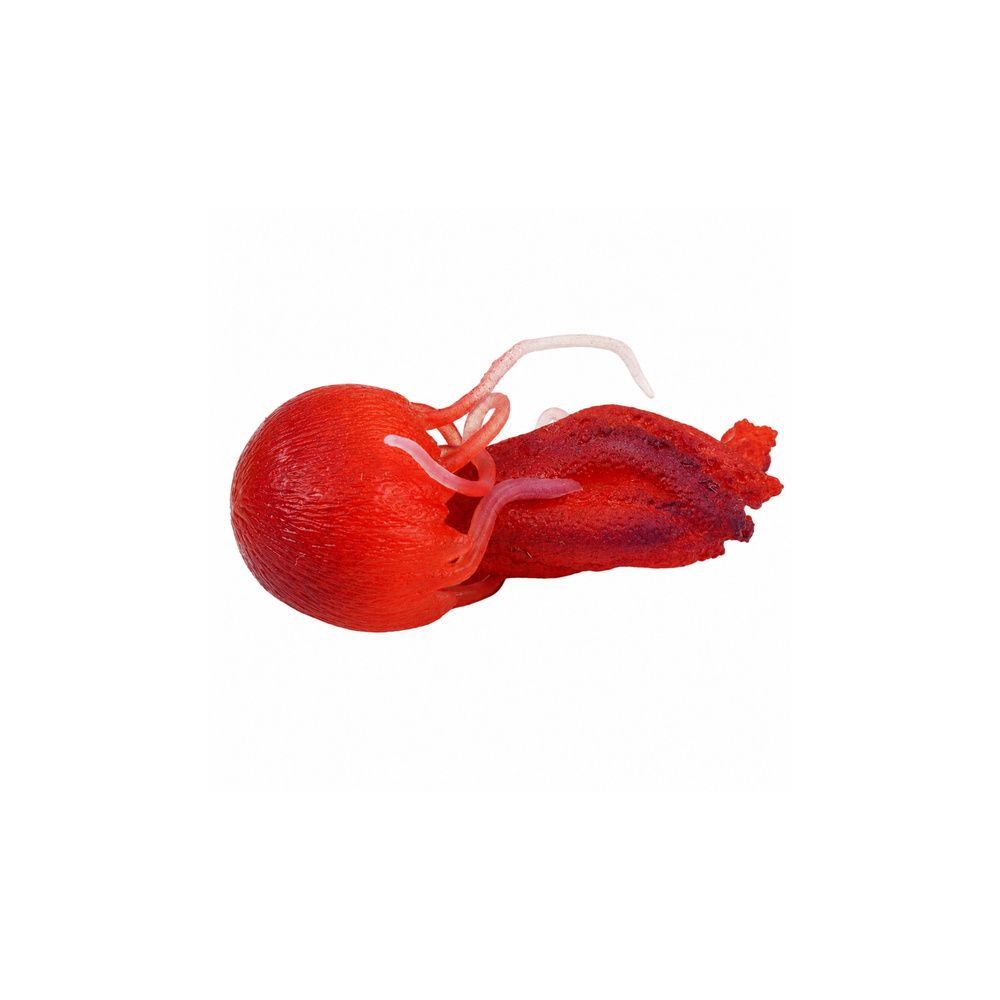 Gumowa Figurka Meduza Rozciągliwa Realistyczna Zwierzę Morskie 9 cm